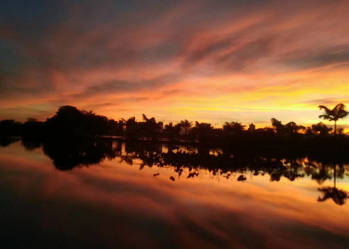 西双版纳四日游