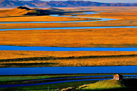 成都四日游|成都、熊猫基地、三星堆双飞四日游|0购物0自费【印象成都】