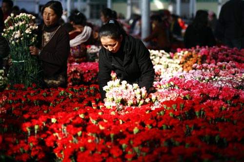 昆明斗南花市在哪里|斗南全国鲜花市场的心脏”